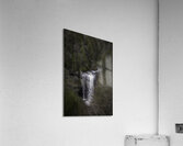 Lookout Acrylic Print
