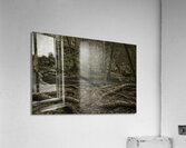 Rooted Acrylic Print