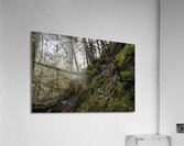 climb Acrylic Print