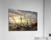 Driftwood Acrylic Print