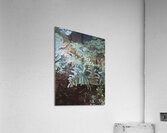 Fern Acrylic Print