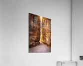 canyon road to the treasure of petra Acrylic Print