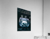 human skull in glass ampoule Acrylic Print