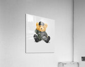 7164004 Acrylic Print