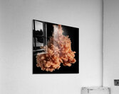cloud of orange ink on black.  Acrylic Print