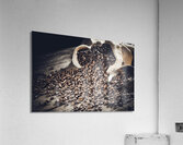 coffee beam Acrylic Print