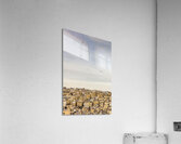 urbanscape of amman Acrylic Print