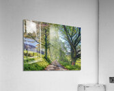 Countryside Road Acrylic Print