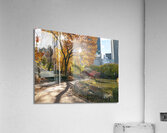 Central Park Acrylic Print