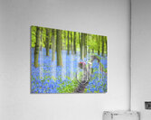 Bicycle in spring forest Acrylic Print