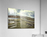 farm wind in faroe  Acrylic Print