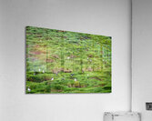 Fratercula arctica in faroe Acrylic Print