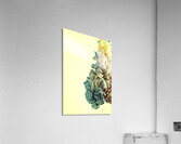 colours in water Acrylic Print