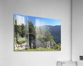 view of sciury Acrylic Print