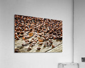 espresso and coffee grain Acrylic Print