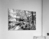 Tanyard Creek Waterfall In The Woods Grayscale Acrylic Print