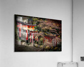 japanese shrine path in autumn Acrylic Print
