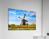 Dutch Giants - CR2305-9243-WAT Acrylic Print