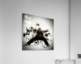 1981 baseball art remix  Acrylic Print