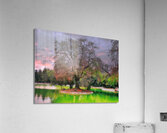 Tree in the green lake Acrylic Print