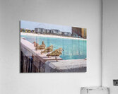 Four Ruddy Turnstone Birds Panama City Beach Acrylic Print