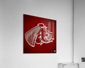 Vintage Elephant in Ballcap Art Acrylic Print