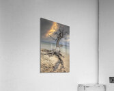 CHALLENGING Acrylic Print