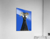 Who said Ball  Acrylic Print