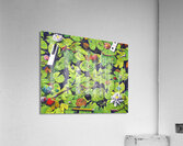 Unforgotten Paths Acrylic Print