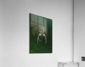 Araignee 5 Acrylic Print