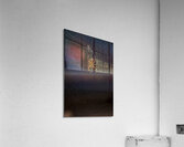 Araignee 7 Acrylic Print