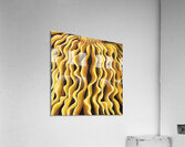 Honey Mushroom Acrylic Print