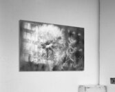 leavingthenestBandW IrisRichrdson Acrylic Print