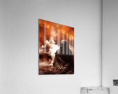 Dust to Dust  Acrylic Print