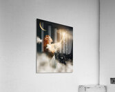 Keeper of the Stars Acrylic Print