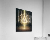 Connection Acrylic Print