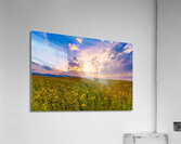 Montana Sunset Acrylic Print