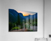 Yosemite Wild Flowers Acrylic Print