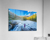 Tree Pose over Sunwapta Falls Acrylic Print