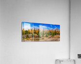 Ten Peaks Larches Acrylic Print