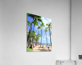 Hawaii Palms Beach Acrylic Print