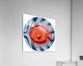 Little fish Acrylic Print