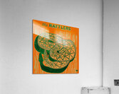 vintage florida am rattlers art  Acrylic Print