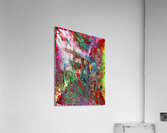 Linnia Acrylic Print