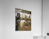 Top down over flooded Valley Falls on a bright spring morning Acrylic Print