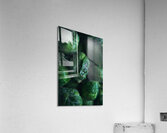 Brussels sprouts close up  Acrylic Print