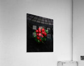 A bunch of radishes  Acrylic Print