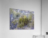Mount Acrylic Print