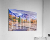 Larch Valley Acrylic Print