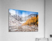 Larch Valley Acrylic Print